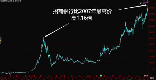 数字8开头股票类型解析与特点探究