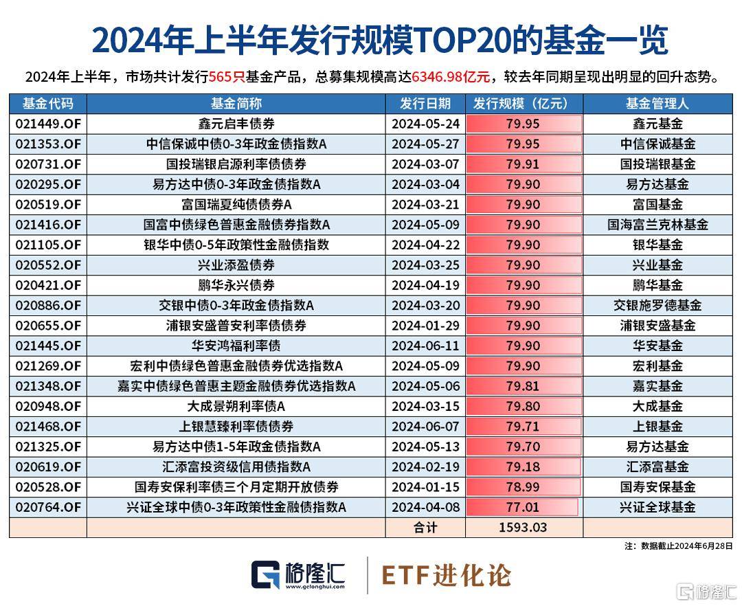 2024年下半年基金市场趋势解析与行情展望