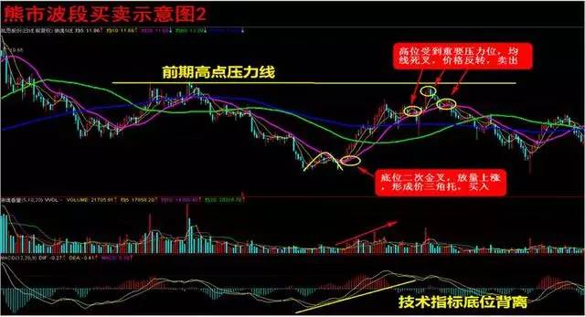 熊市中的逆势上扬板块，涨势之星闪耀市场