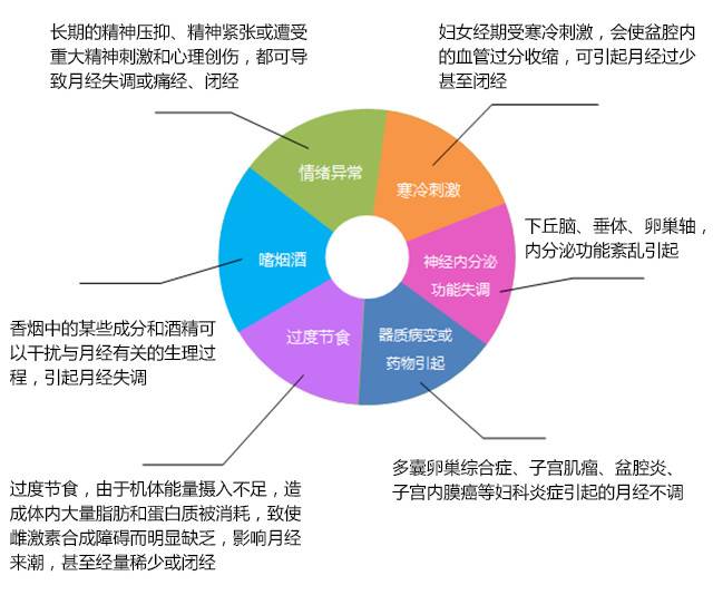 女性生理周期的综合解读，经期复苏时期特征解析