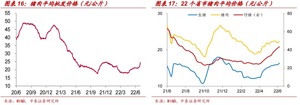 最新行业股票走势深度解析报告