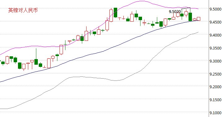 全球货币市场的动态与机遇，最新外汇牌价查询今日更新