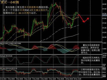 外汇形势深度解析与预测分析