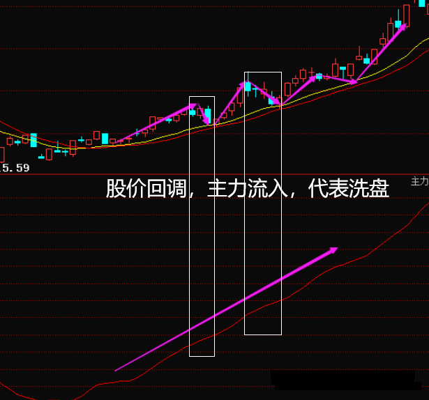 股票机构与个人买卖差异解析，策略、影响及深度分析