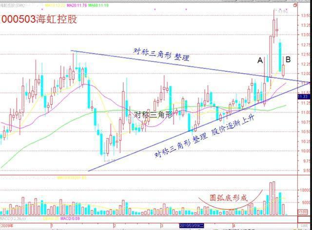 股票回调低点确认策略，技术分析与市场洞察的综合应用指南