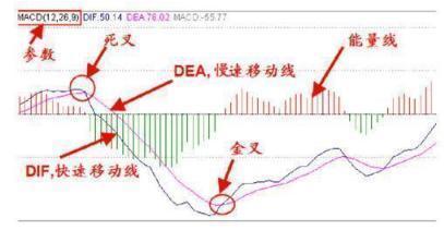 外汇共振指标的四种形态深度解析