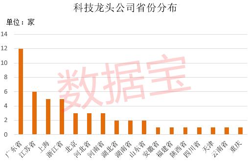 科创板龙头企业，科技创新先锋引领者