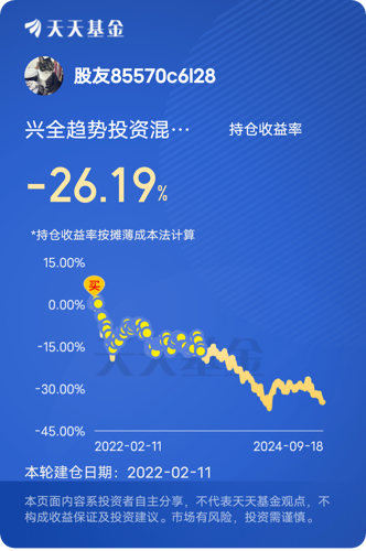 基金163417的投资策略与市场表现深度解析