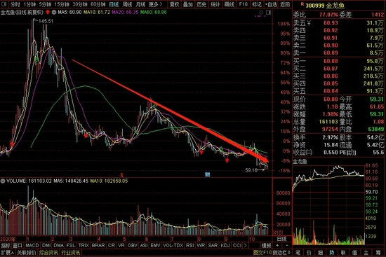 金龙鱼股市行情全面解析