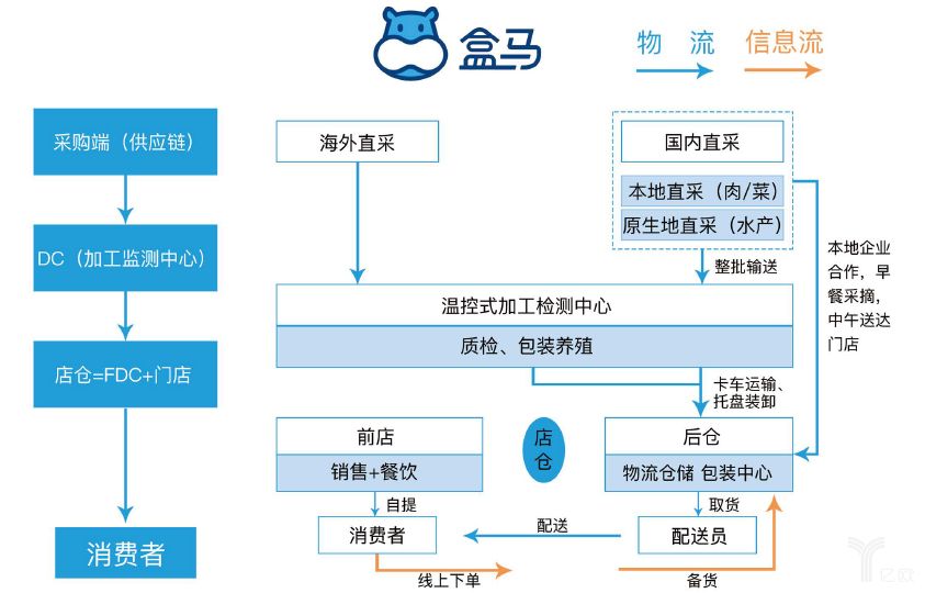 全球供应链多元化与复杂性交织的现状分析