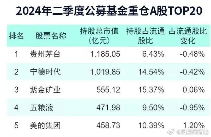 基金重仓排名一览表，洞悉投资风向的关键工具