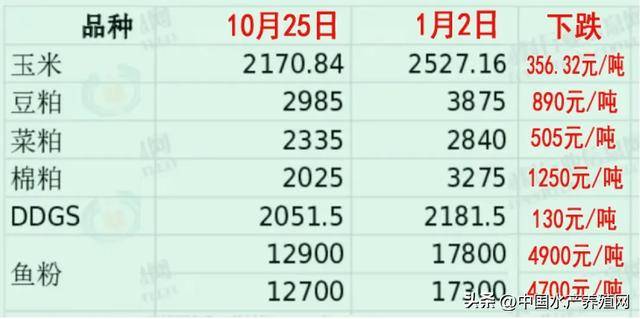 豆粕跌破3000元/吨，市场新态势与挑战解析