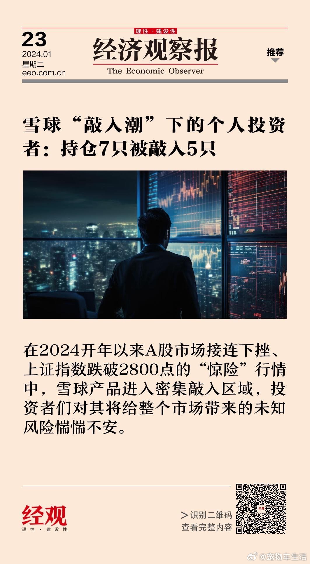 股市亏损下的挣扎与希望，曙光破晓前的博弈之路