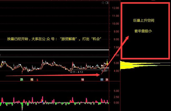 高端材料行业龙头股票全景解析