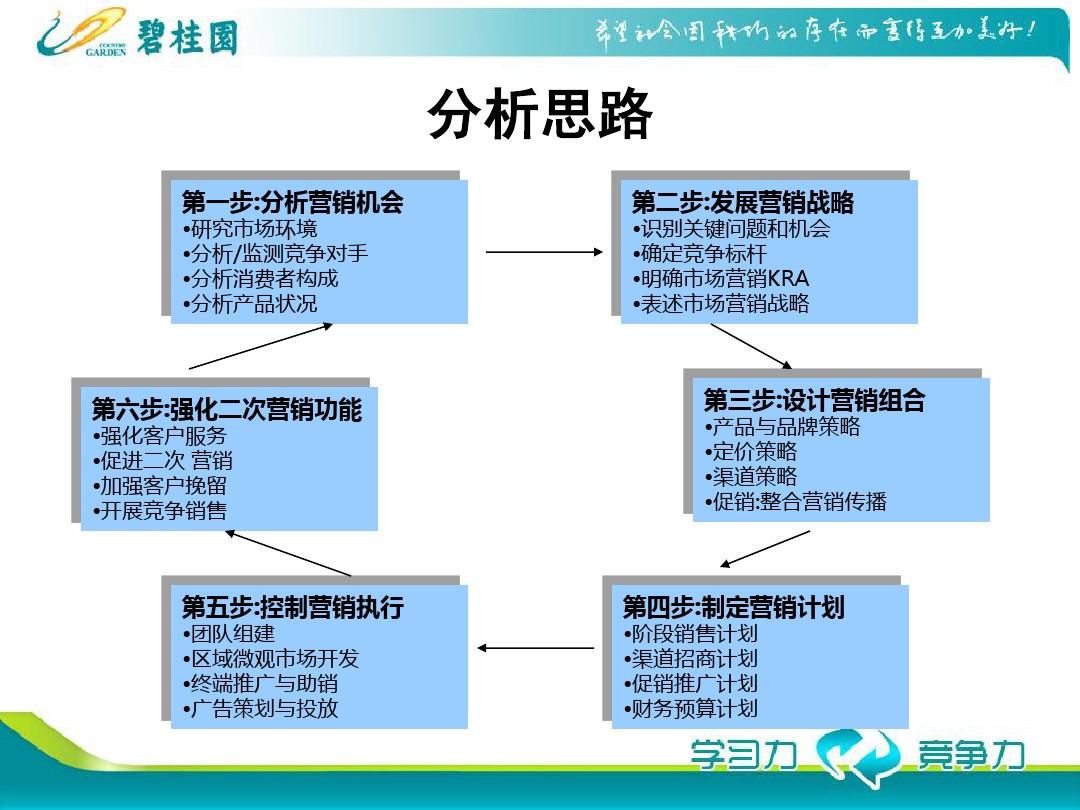 碧桂园案例分析，洞察与启示