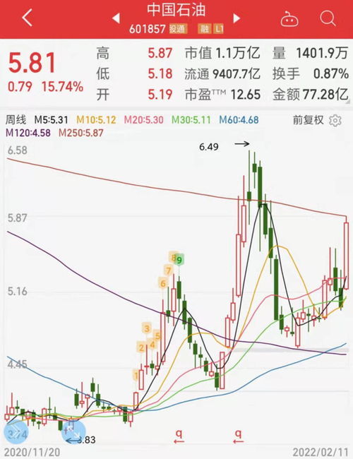 中国石油股票，市场走势解析、投资分析与风险控制策略探讨