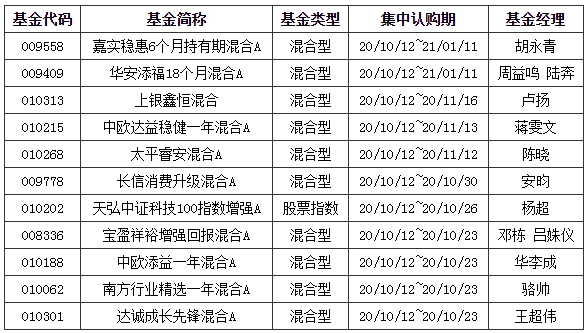 十月基金行情深度解析，机遇与挑战的并存