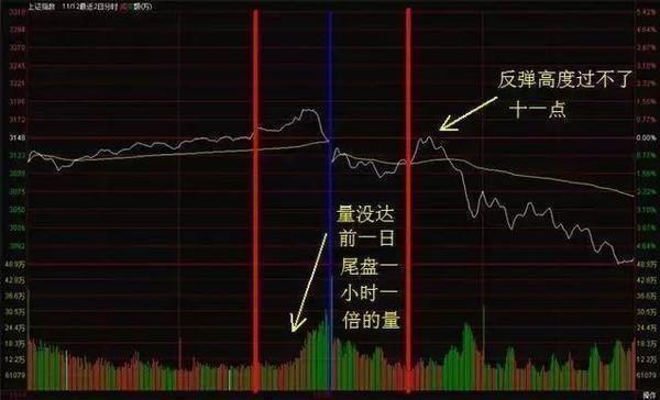 2024年12月 第1459页