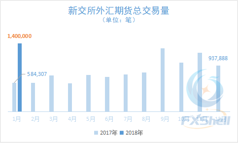 期货增加外汇，市场新机遇与挑战的交汇点