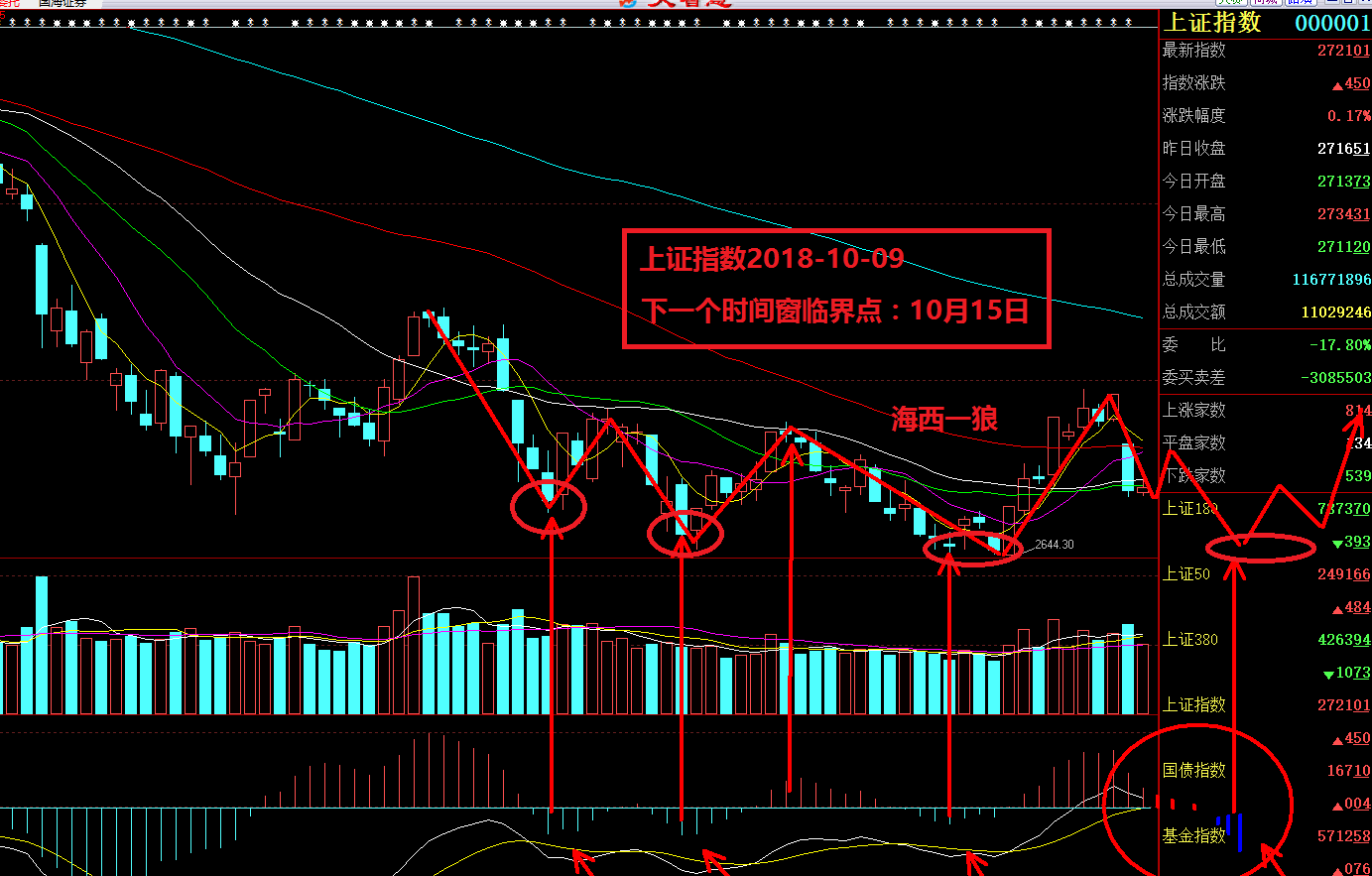 海西一狼中金财经号，引领投资风向，探索财经新领域