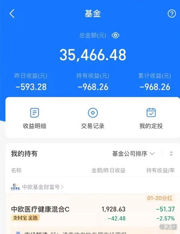 基金投资探索，千元基金收益与风险解析——一月盈利揭秘！