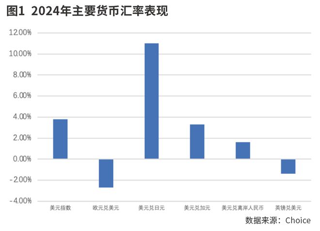 汇市数据深度解读，洞悉意义与影响