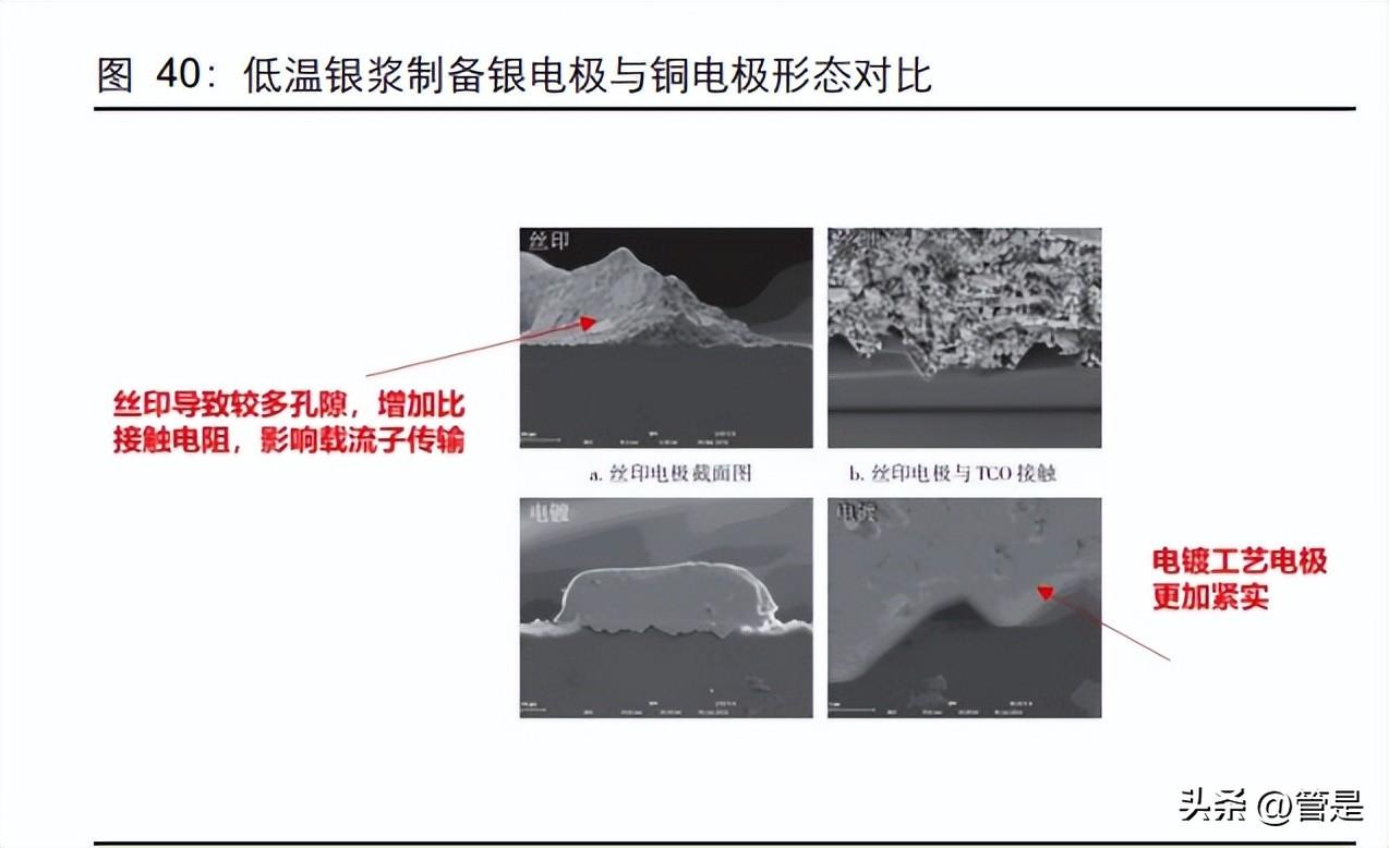 贵金属龙头股票概览与深度市场分析