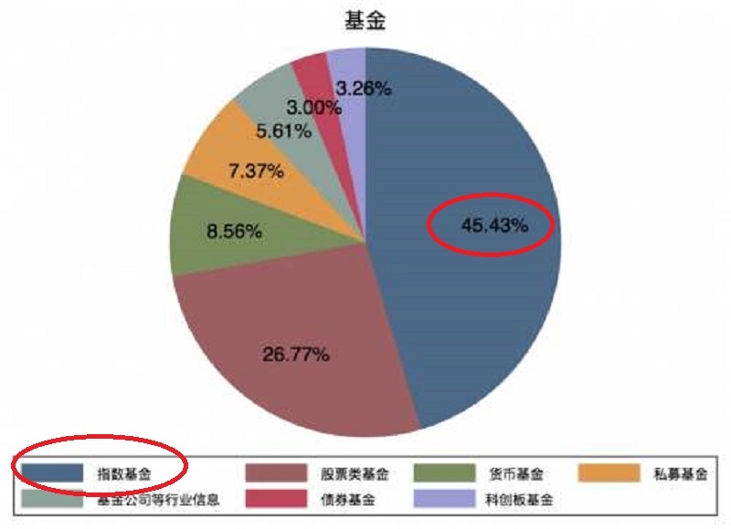 基金净值深度解析与实例探究，理解其含义与运作机制