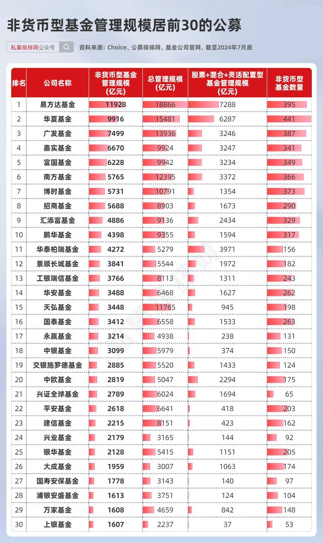 股票基金排名前十深度解析与对比观察