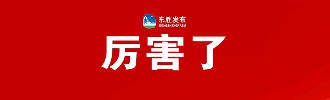 东胜电价最新消息及未来电力市场趋势展望（2024版）