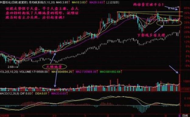 成交量指标解读，股市分析的核心要素