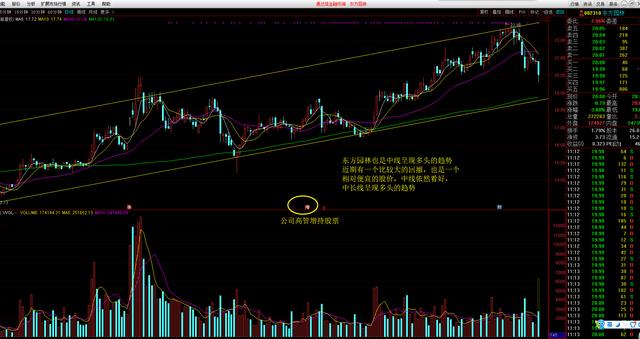 探索高增长股票，投资新机遇与挑战的探讨