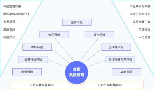 金融风险管理体制的构建与完善，重要性及策略探讨