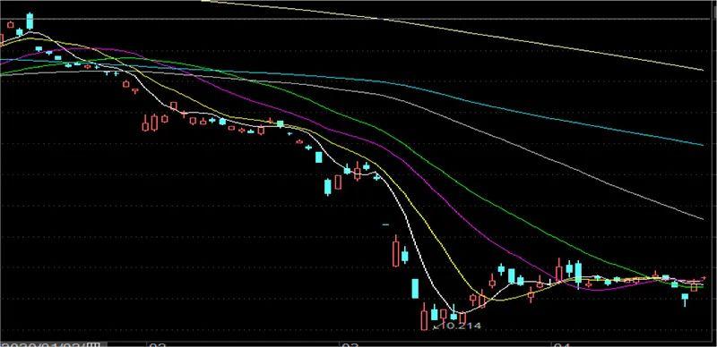 基金净值实时查询，重要性及应用策略解析