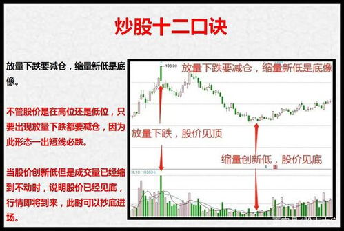 初学者股市探索之旅，从零开始学炒股