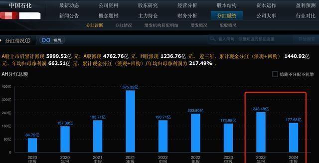 散户如何获取分红收益，策略与技巧解析