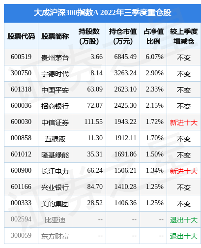 大成沪深300基金历史净值深度探究与解析