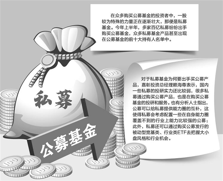 私募基金与公募基金，概念解析与差异比较探究