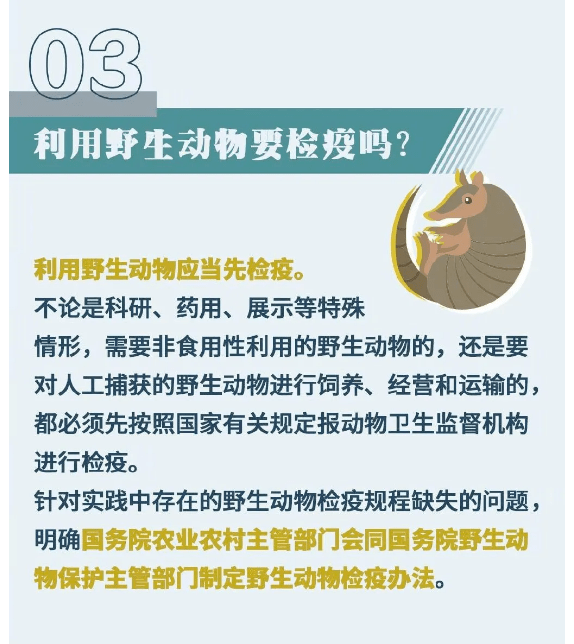 东西湖区防疫检疫站最新招聘信息与动态概览