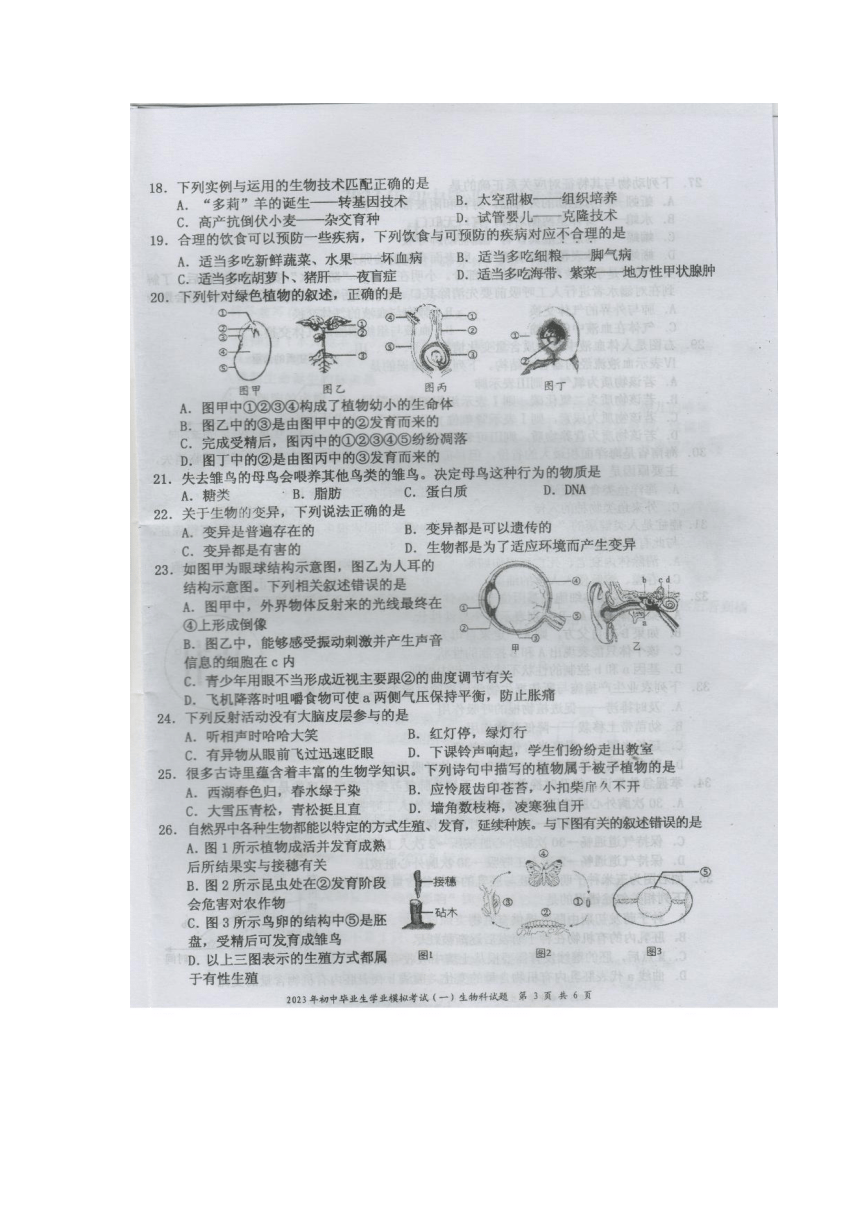 省直辖县级行政单位市体育局人事任命动态解读