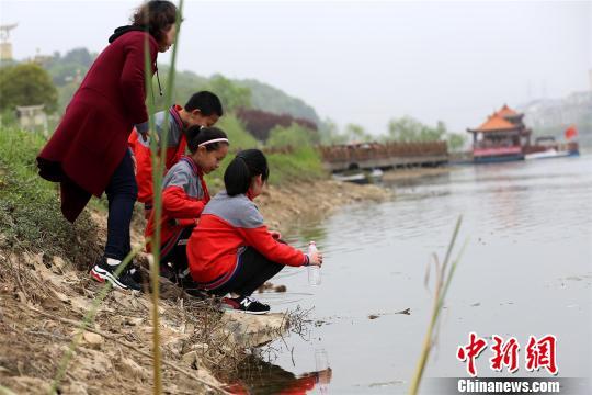 夷陵区教育局人事任命重塑教育格局，引领未来教育腾飞发展之路