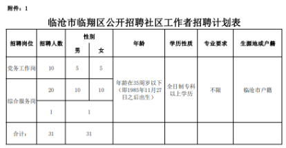 临翔区统计局最新招聘公告概览