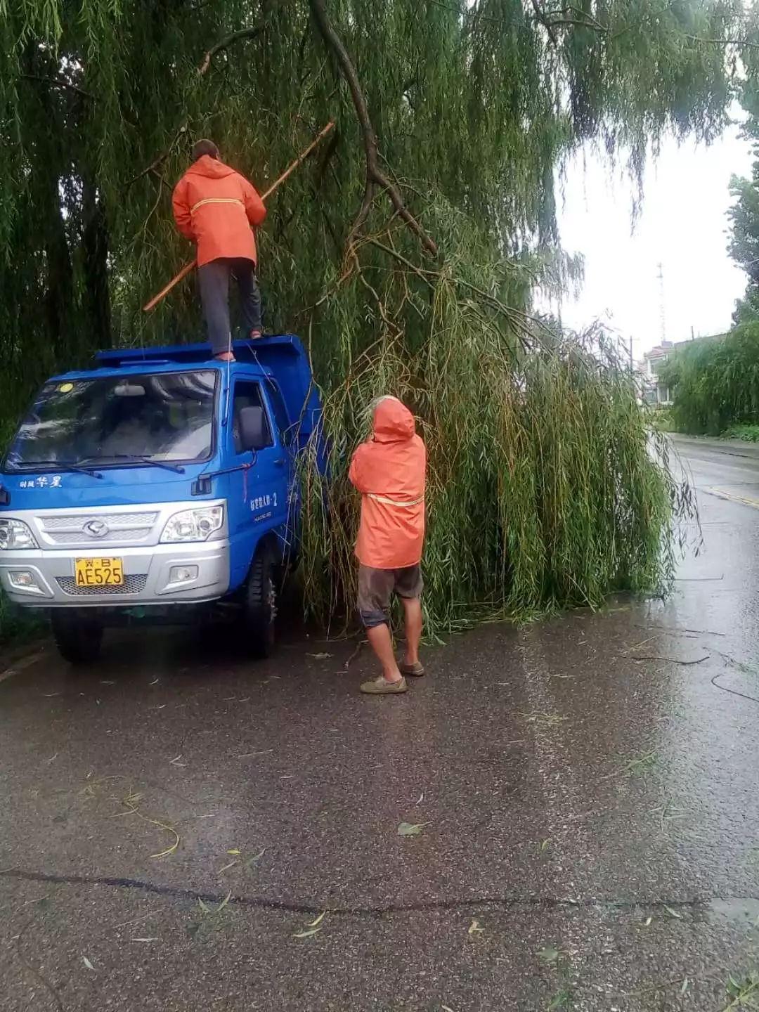 北环新任领导引领变革，塑造未来新篇章