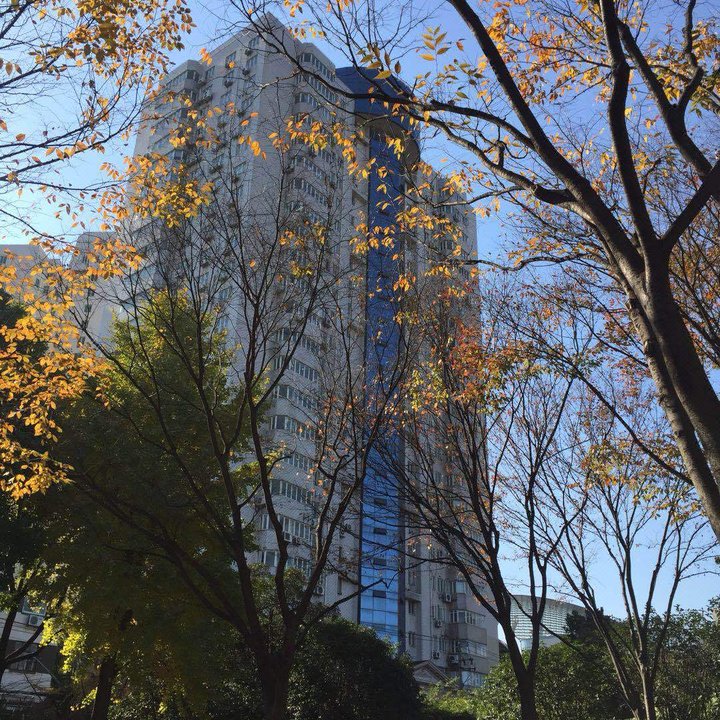 漕河泾街道天气预报更新通知