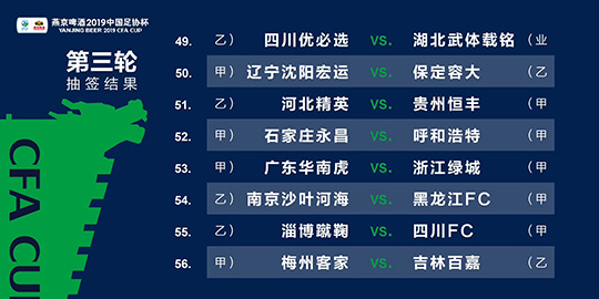 2024年12月19日 第51页