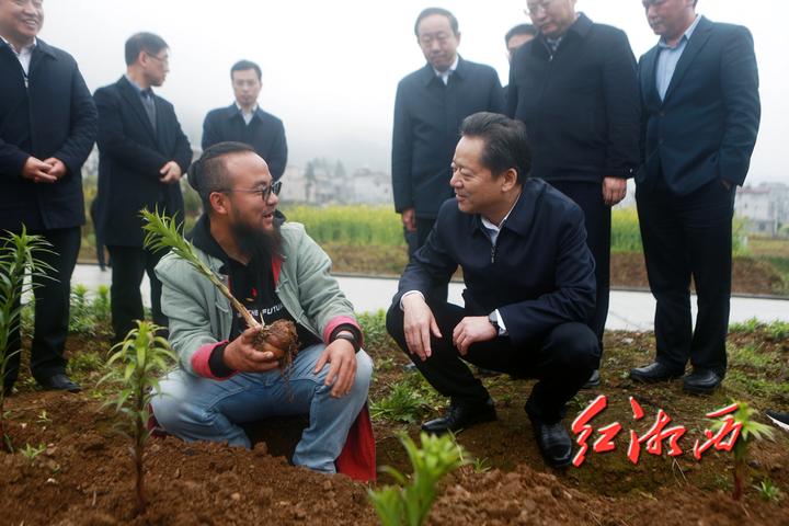 太平山镇新项目，引领地方发展的璀璨明珠之光