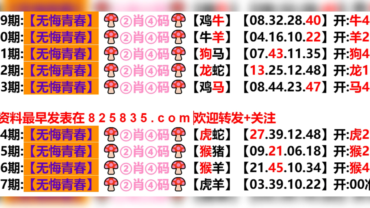 2024年新奥门天天开彩,全面分析解释定义_OP95.23