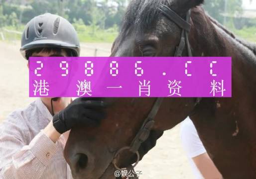 大三巴最准的一肖一码,最新答案解释定义_经典款43.132