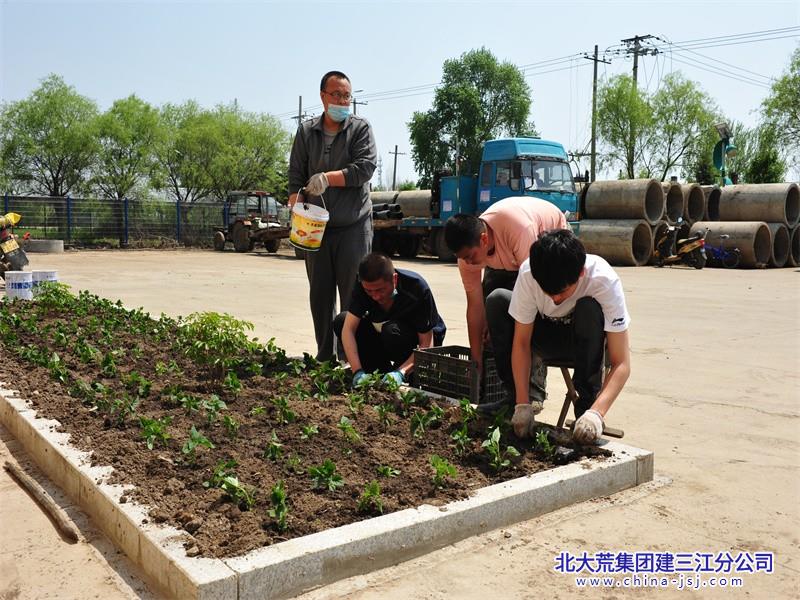 渠口农场新项目引领农业现代化新篇章