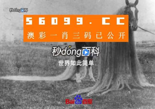 澳门大三巴一肖一码免费,精细化执行设计_试用版58.495